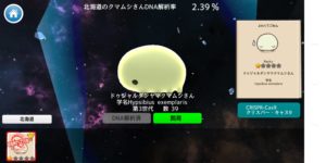 よわくてごめんクマムシさん