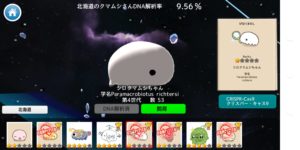 びはくまむし