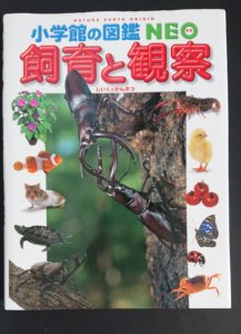 飼育と観察(表紙)