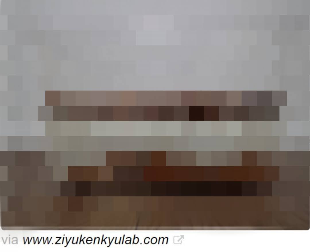 まとめサイトにパクられた画像
