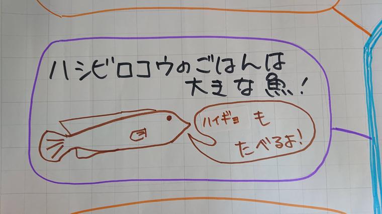 書き損じ画像１