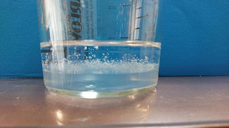 細胞溶解液にエタノール入れた直後