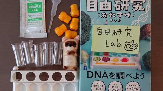 DNA取り出し実験