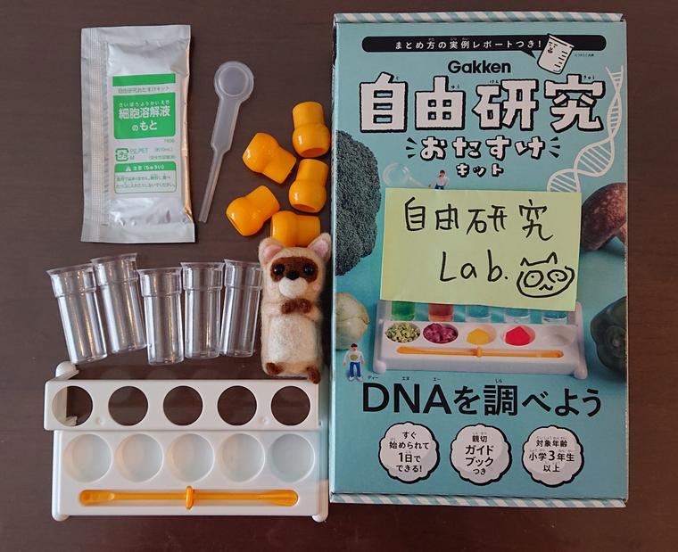 DNA取り出し実験