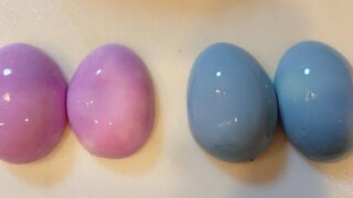 紫キャベツの卵