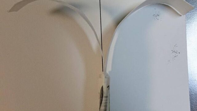 画用紙でつくるラワンの種の開きが大きいもの