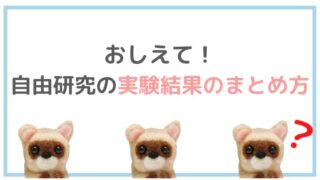 小学６年生にオススメの自由研究テーマをおしえて 自由研究lab ラボ