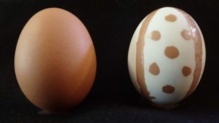 模様付きの卵